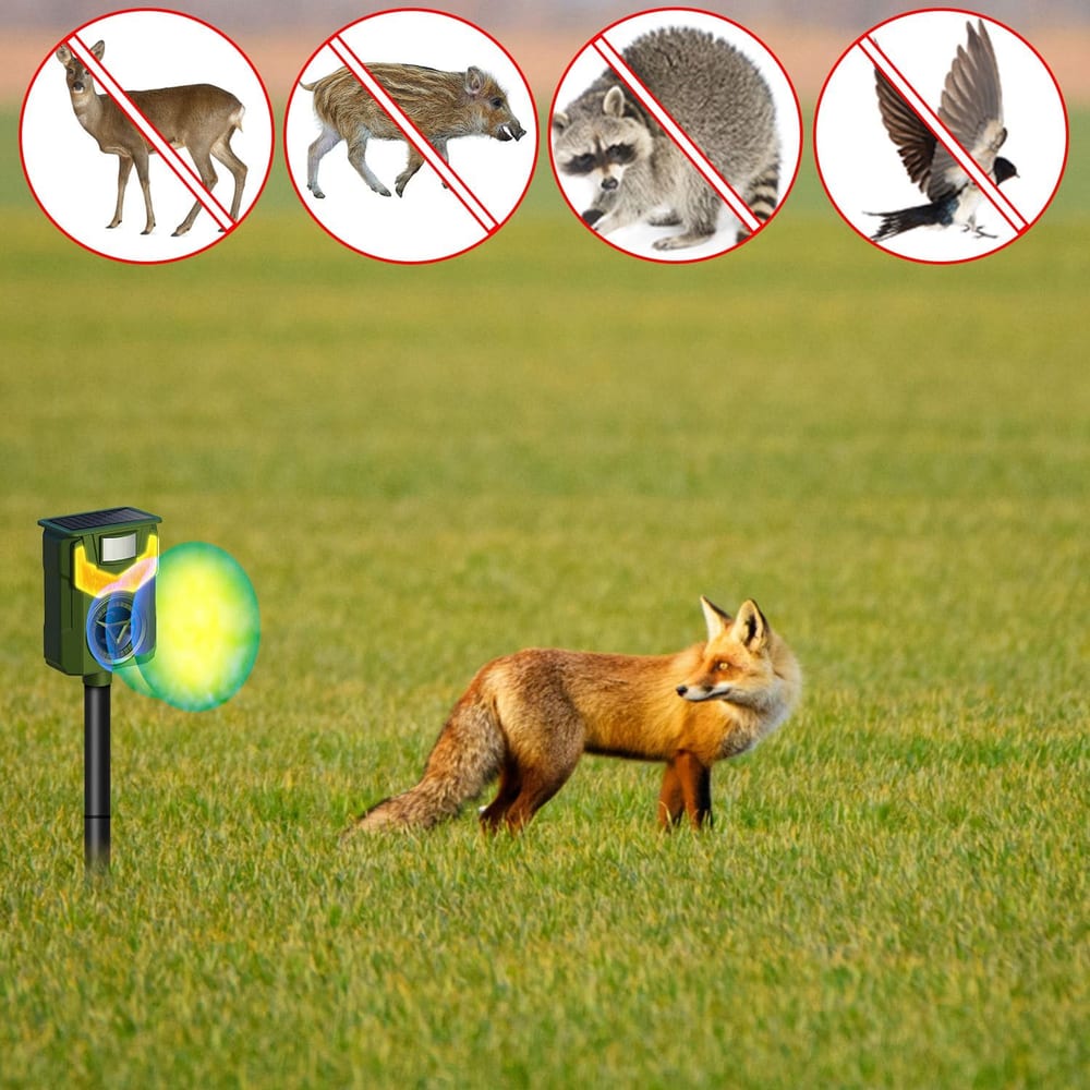 Fox standing in a green field near a wildlife deterrent device, designed to keep away deer, boars, raccoons, and other pests, featuring visual deterrent effects.