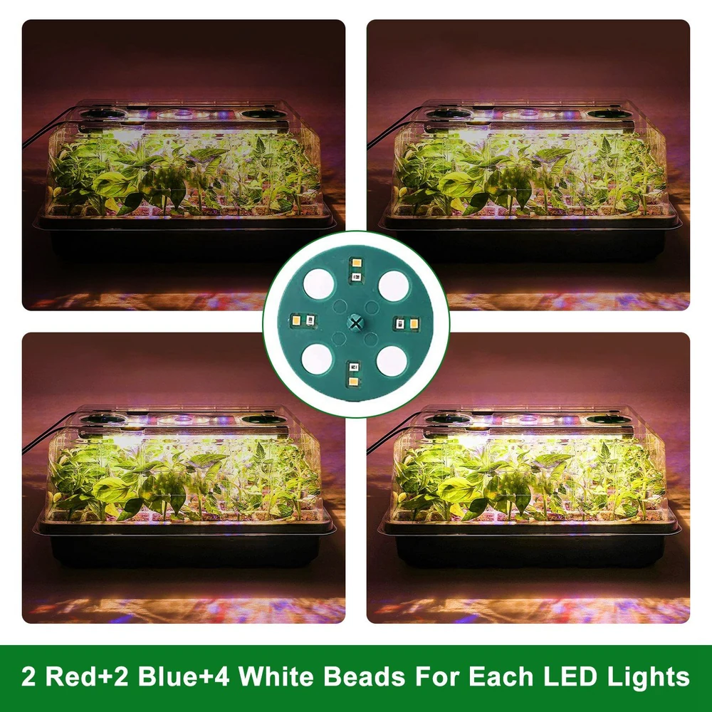 LED grow light setup featuring a greenhouse with vibrant plants, showcasing 2 red, 2 blue, and 4 white LED beads designed for optimal indoor gardening growth.
