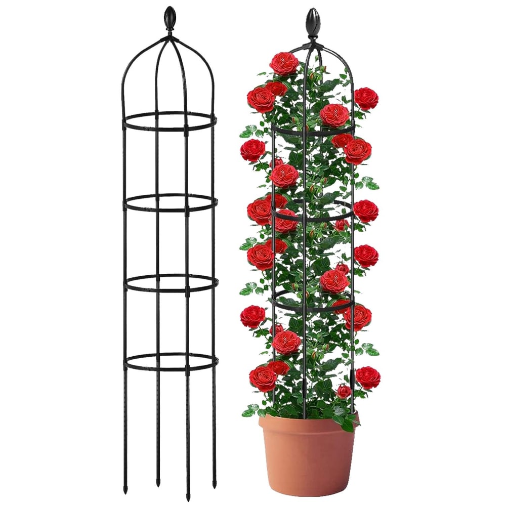 Metal plant trellis featuring red roses in a decorative pot, showcasing climbing roses supported by a stylish black frame.