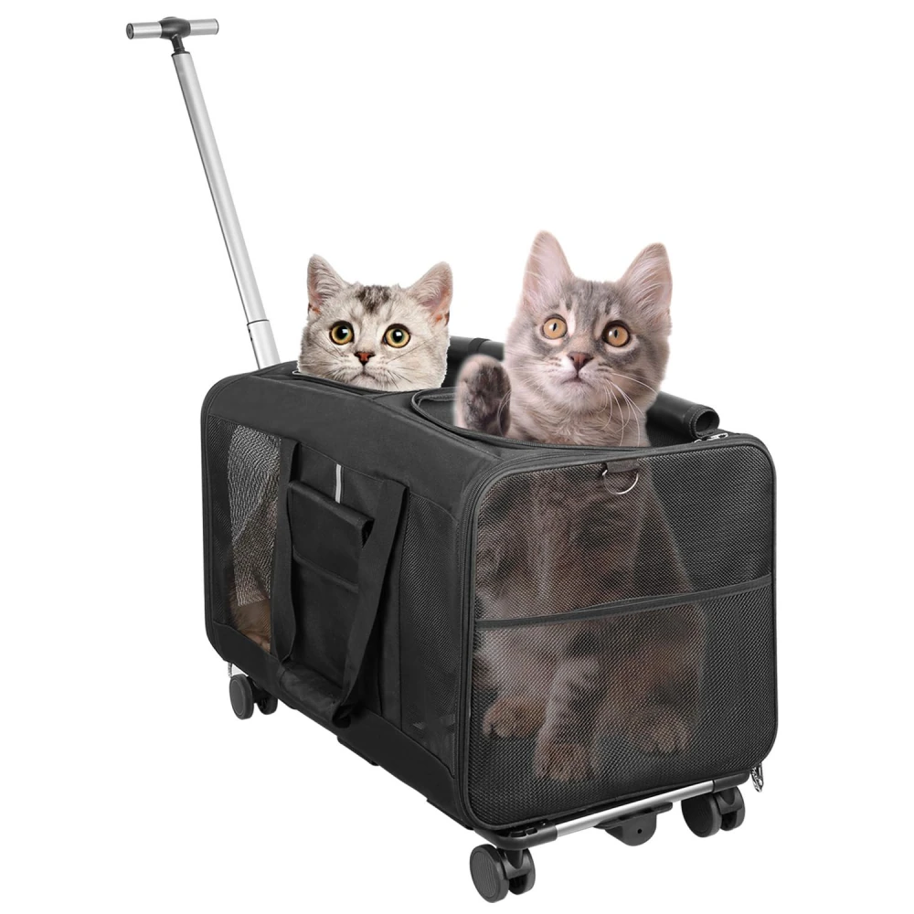 Black pet carrier on wheels with two curious gray cats inside, showcasing a sturdy design with mesh panels for ventilation.