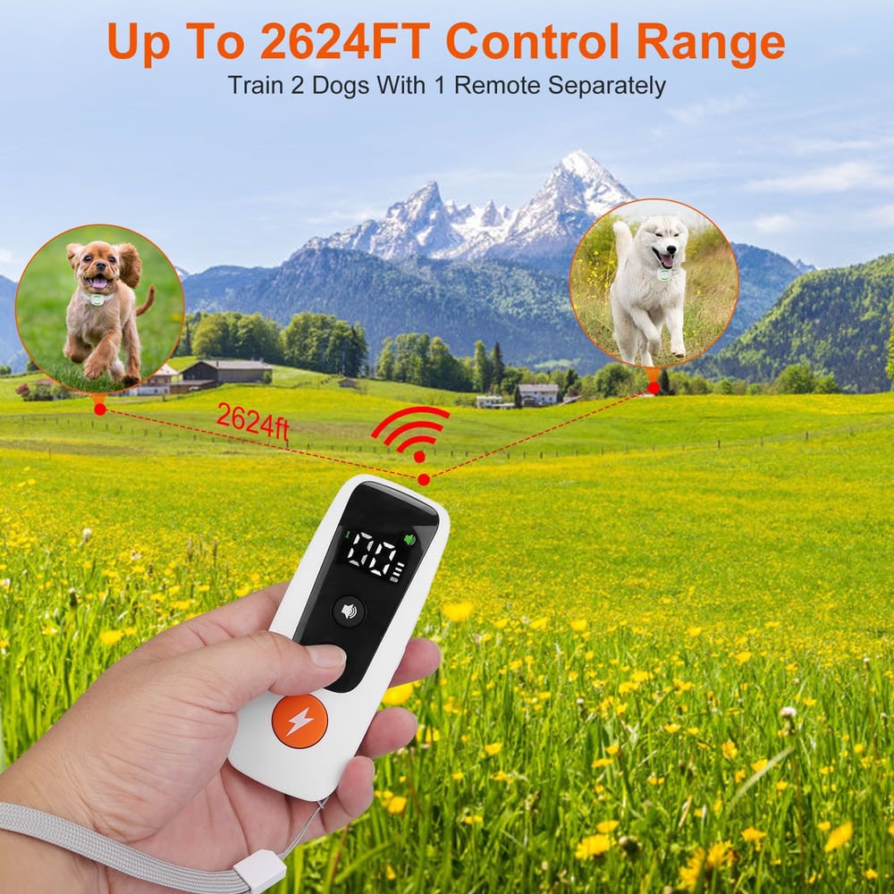 Remote dog training device with a 2624FT control range, featuring images of a playful puppy and a happy dog, set against a scenic mountain and field background.