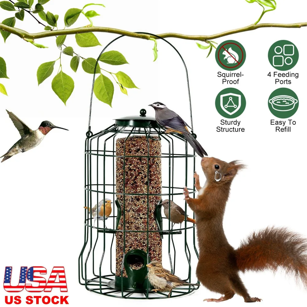 Squirrel-proof bird feeder with four feeding ports, featuring colorful birds and a squirrel, showcasing sturdy design and easy refilling, set against a green leafy background.