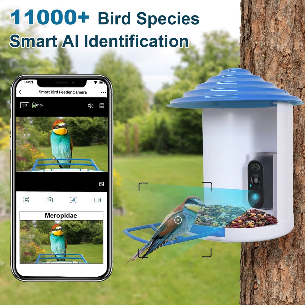 Smart bird feeder camera with AI identification for over 11,000 bird species, displaying a colorful bird feeding on seeds next to a smartphone showcasing a bird photo and identification details.