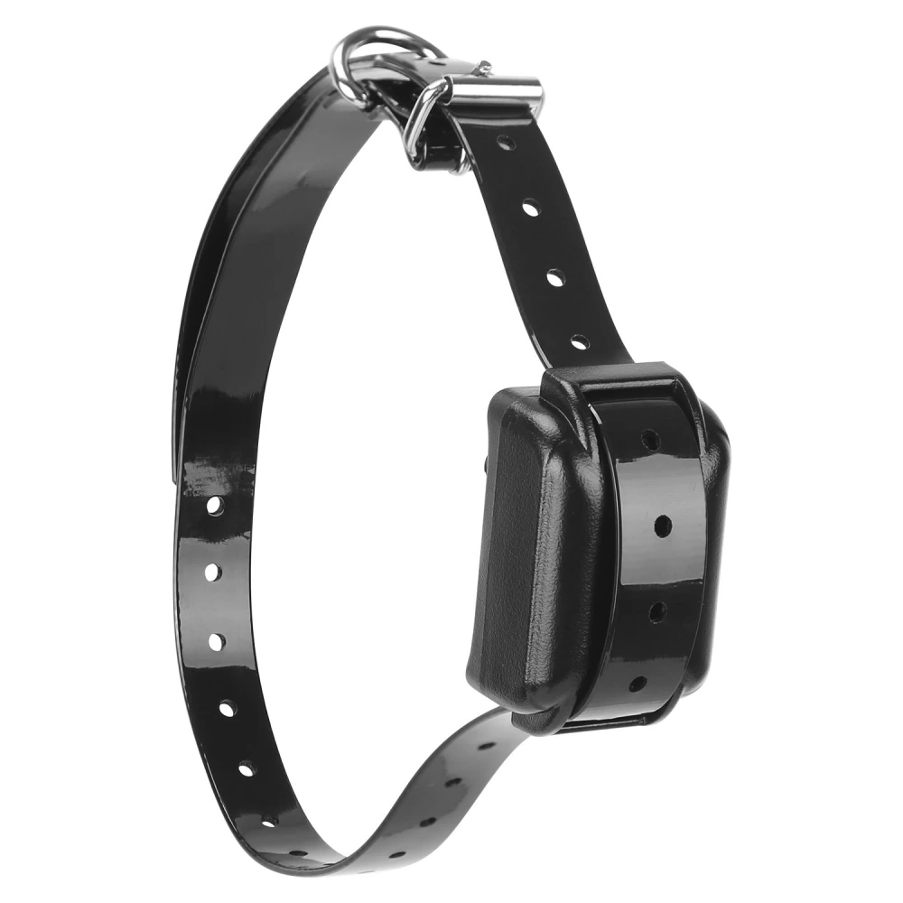 Black adjustable pet training collar with a plastic receiver and metal buckle, designed for effective obedience training.