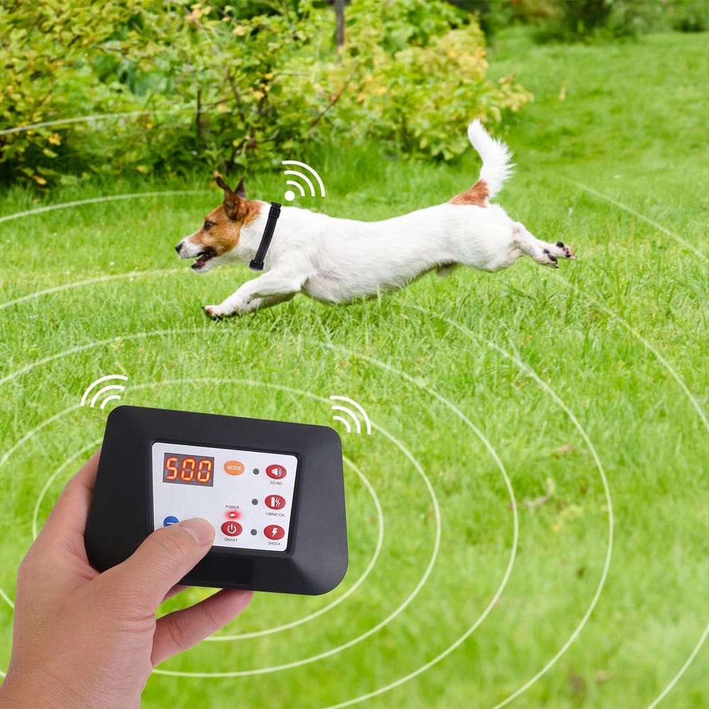 A person holding a remote control for a pet training collar, while a happy dog runs on green grass, illustrating the product’s functionality for safe outdoor training.
