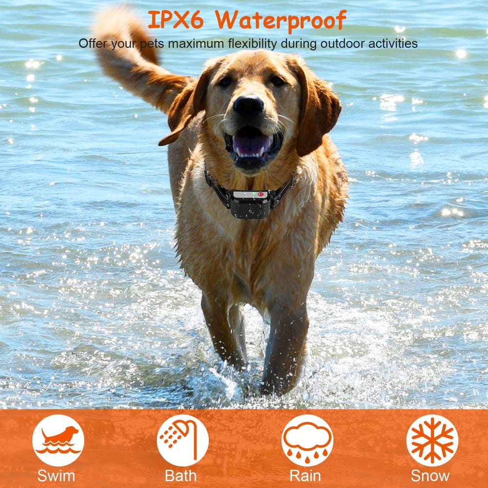 Golden Retriever joyfully playing in ocean water wearing an IPX6 waterproof collar designed for outdoor activities, including swimming, bathing, and rain protection.
