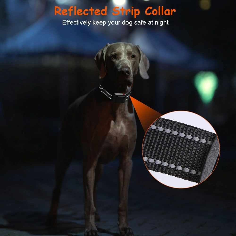 Reflective strip dog collar in use at night, showcasing its bright reflective design for enhanced visibility and safety.