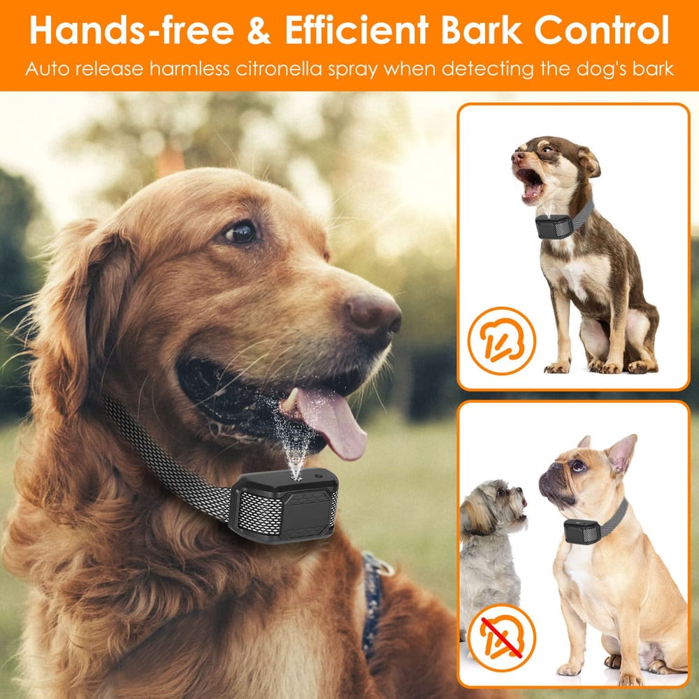 Golden retriever wearing a citronella bark control collar that automatically releases a harmless spray, with images of other dogs reacting to the collar's features in a natural outdoor setting.