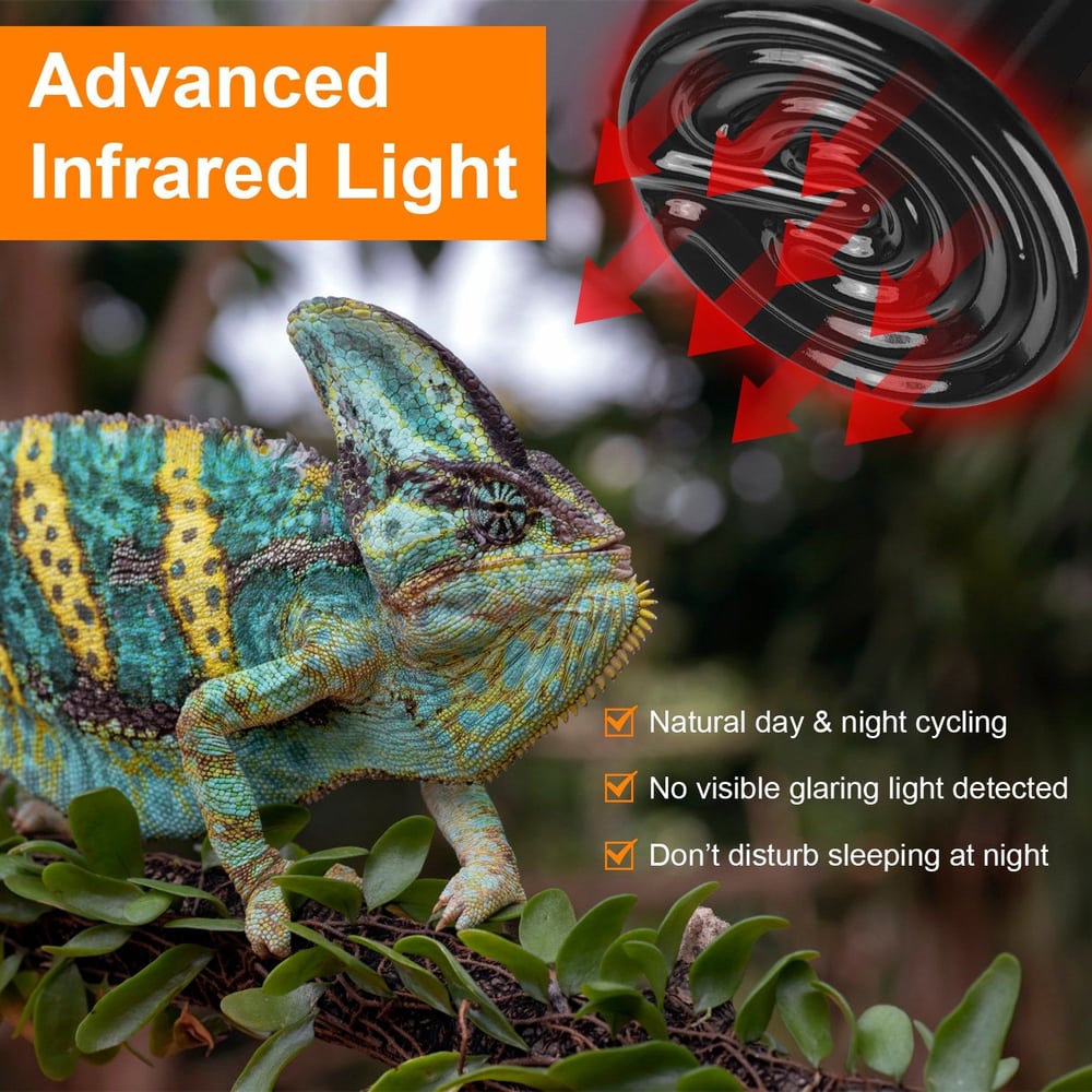 Advanced infrared light for reptiles, featuring a colorful chameleon perched on a vine, highlighting natural day and night cycling, non-glaring light design, and undisturbed nighttime sleep.