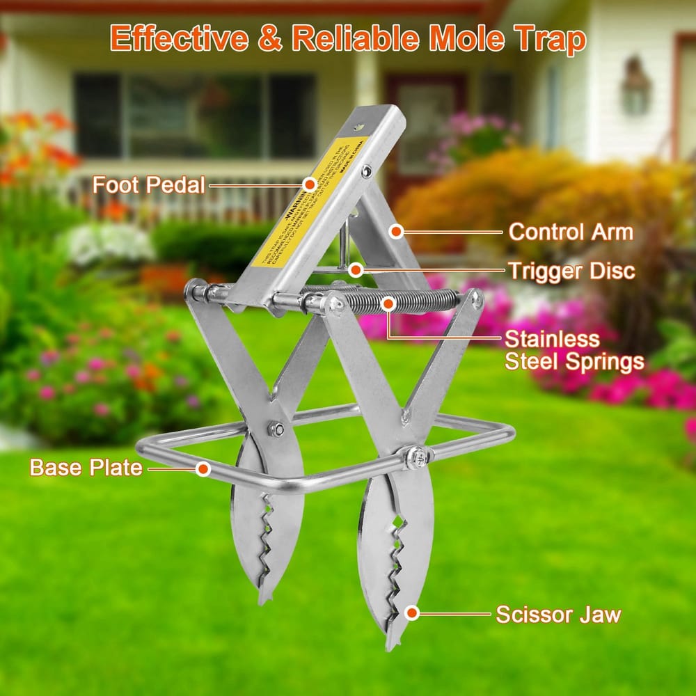 Effective and reliable mole trap featuring stainless steel springs, scissor jaws, foot pedal, control arm, and trigger disc, designed for optimal garden pest control in outdoor settings.