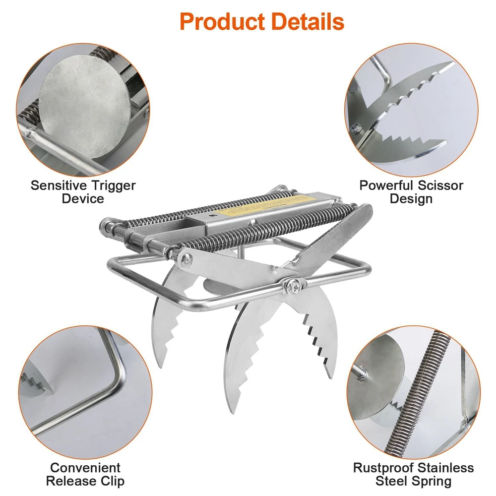 Stainless steel scissor trap with sensitive trigger, rustproof spring, release clip, and serrated jaws for effective pest control.