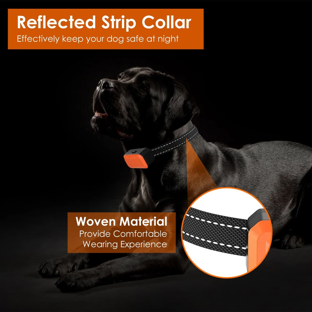 Dog wearing a reflected strip collar for safety at night, featuring an orange LED light and woven material for comfort, displayed in a low-light setting.