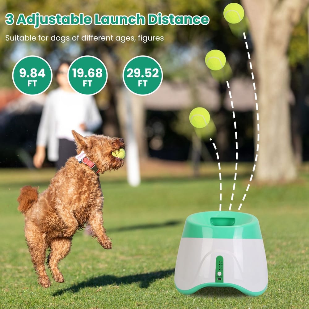 Dog playing fetch with a tennis ball, using an automatic ball launcher on a grassy field, showcasing three adjustable launch distances: 9.84, 19.68, and 29.52 feet, suitable for dogs of various sizes and ages.