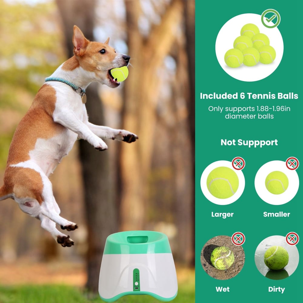 Playful dog jumping in the air with a bright yellow tennis ball in its mouth, next to a ball launcher that comes with six tennis balls, set against a blurred natural background.