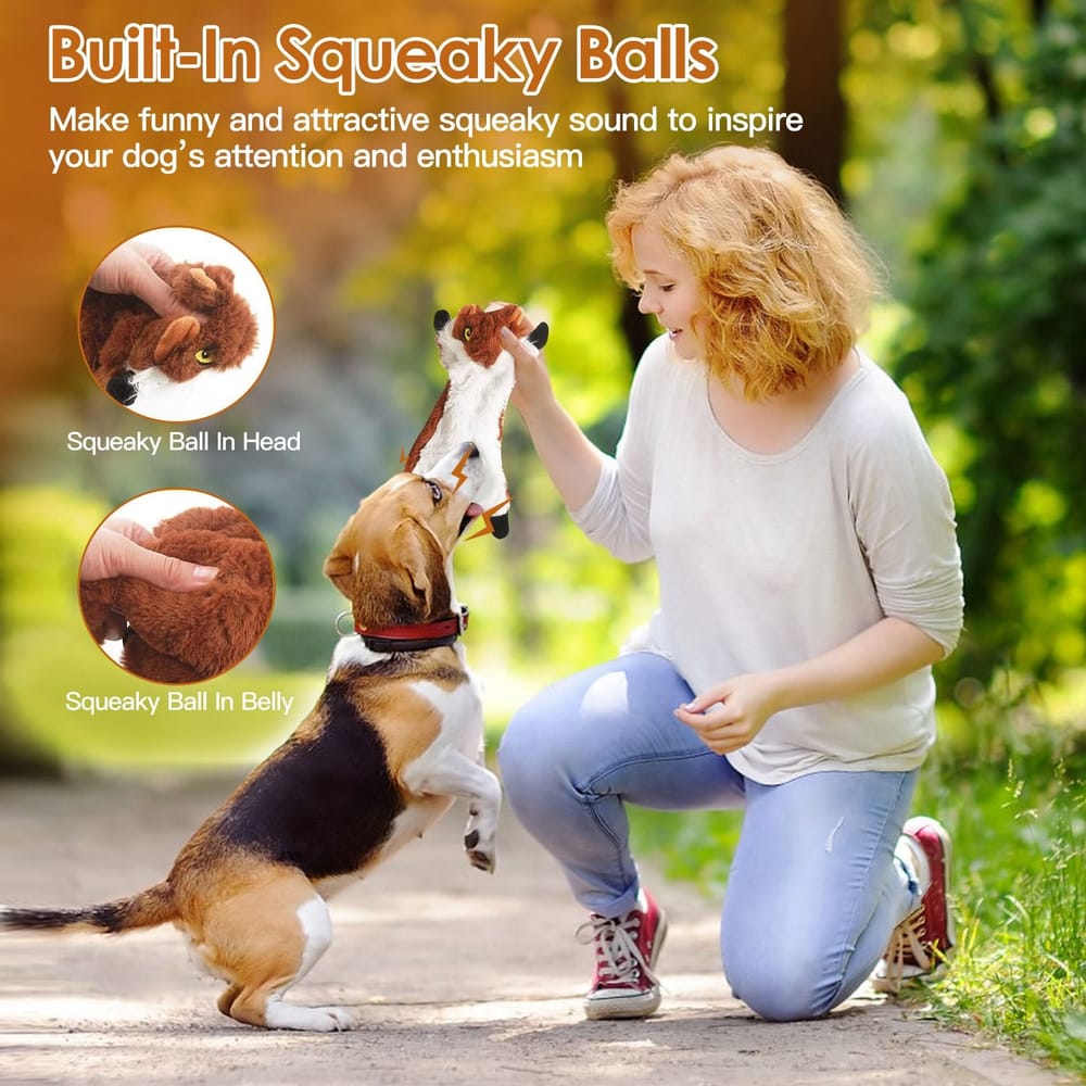 A playful beagle dog interacts with its owner outdoors, holding a squeaky toy while the owner kneels and encourages its playfulness, showcasing the built-in squeaky balls that attract dogs' attention and enthusiasm.