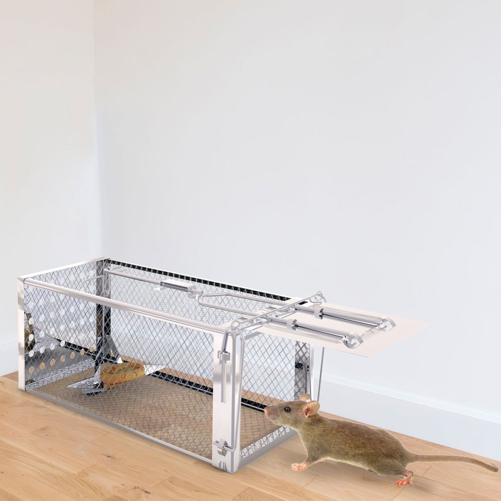 Stainless steel humane mouse trap with bait inside and a mouse approaching the entrance, set against a minimalist interior background.