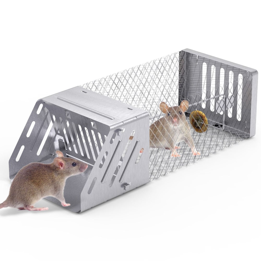 Stainless steel humane mouse trap with two captured mice inside, featuring a wire mesh design for safe trapping and release.
