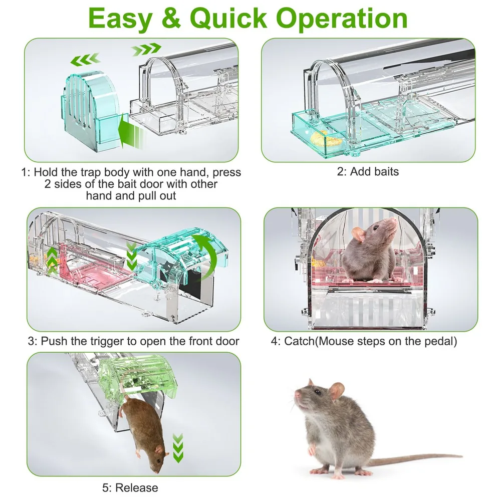 Infographic illustrating the step-by-step operation of a transparent mouse trap, including holding the trap, adding bait, triggering the door, capturing the mouse, and releasing it safely.