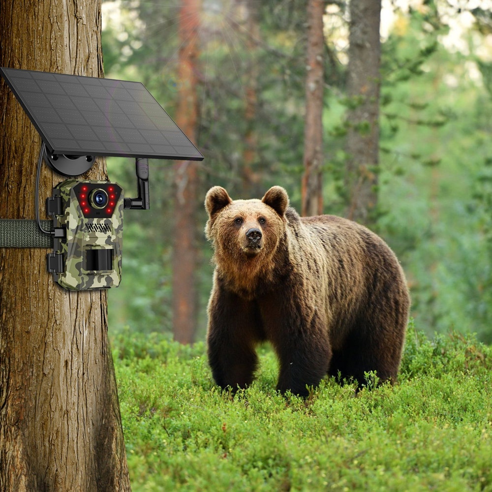 Solar-powered wildlife camera mounted on a tree with a brown bear in the background, capturing nature in a forest setting.