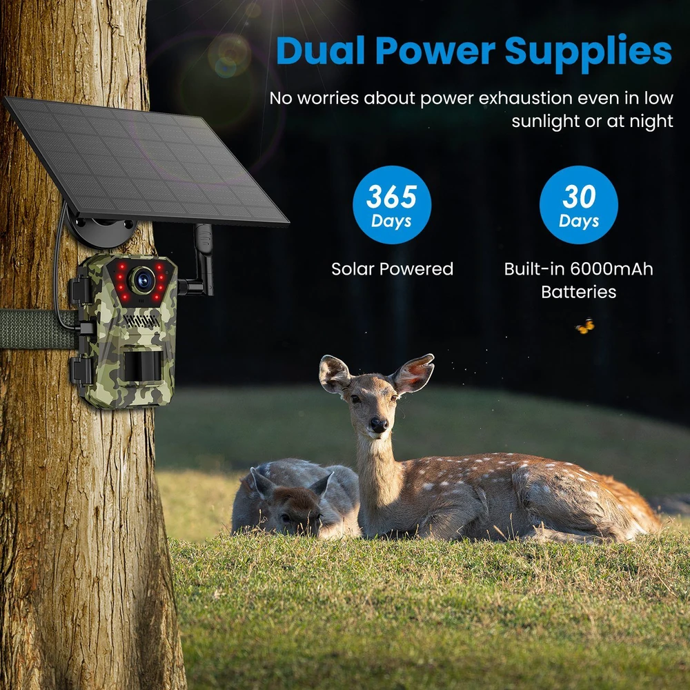 Solar-powered wildlife camera with dual power supplies, featuring a camouflaged design mounted on a tree, capturing deer in a sunny meadow.