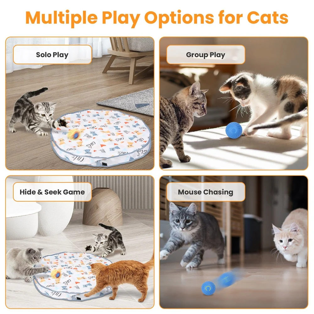Playtime options for cats including solo play, group play, hide and seek, and mouse chasing; featuring playful kittens and cats engaging with colorful toys on a patterned mat.