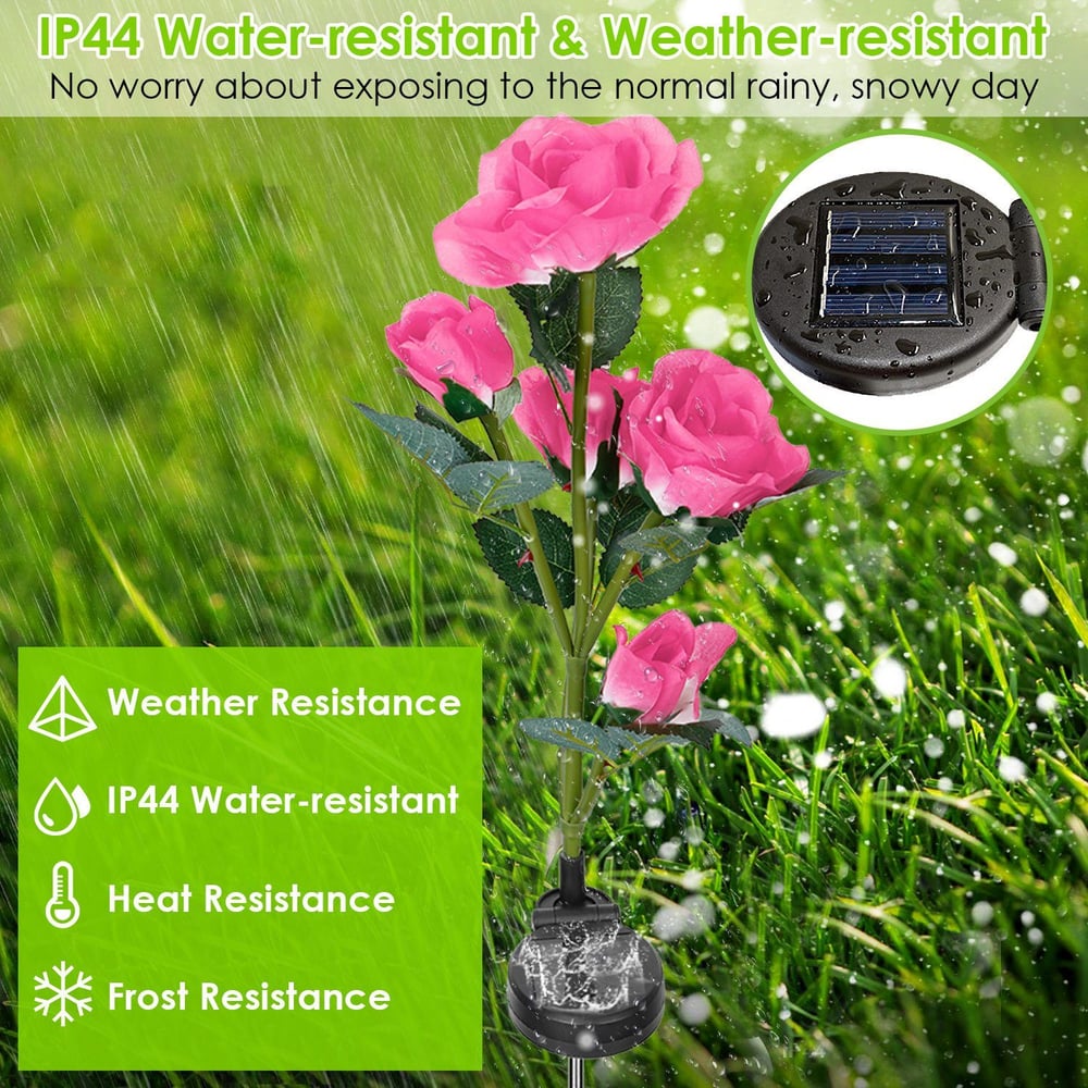Pink solar garden roses with IP44 weather resistance, showcasing durability against rain, snow, and frost on a lush green background